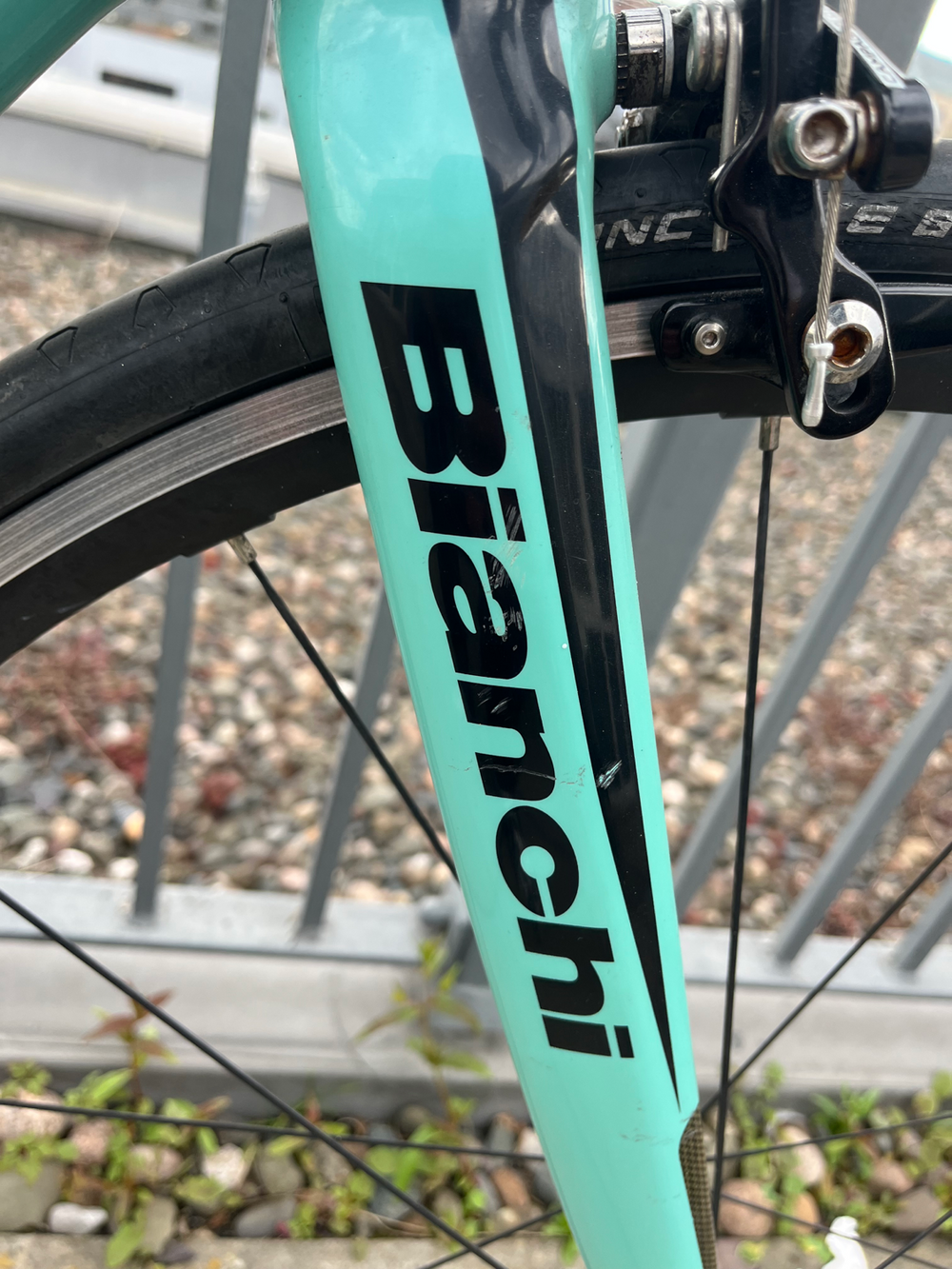 Bianchi Intenso Veloce Compact 2014