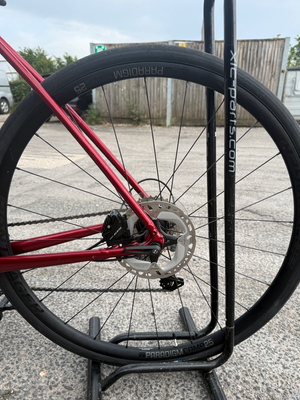 Trek Domane+ 2019