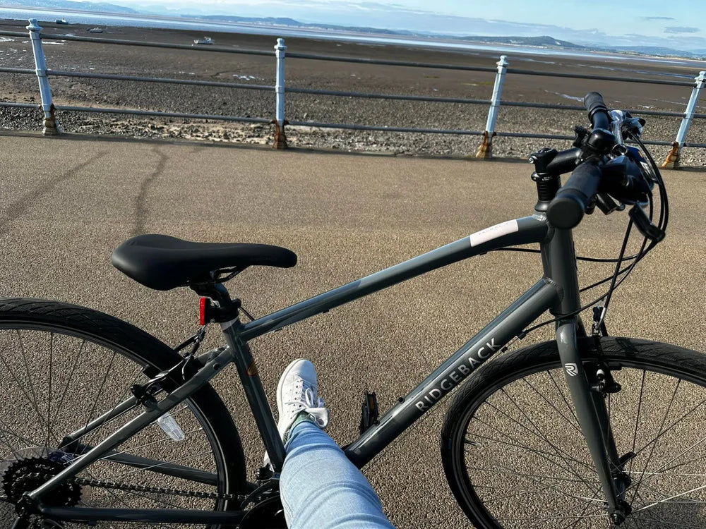 Ridgeback velocity 2022