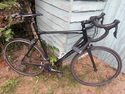 Giant Contend 1 2017