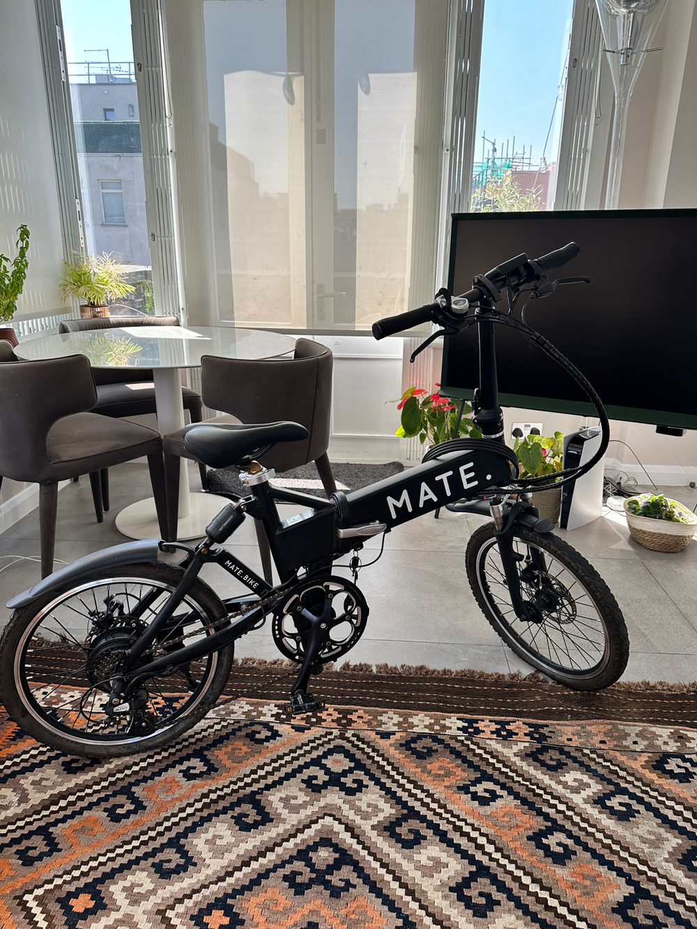 Mate. Mate city 250w 2021