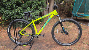 Whyte 529 Trail