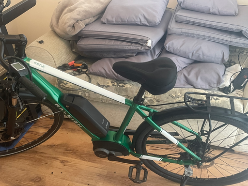 Raleigh Motus Step Through Electric 2020