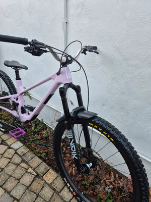 Forbidden Druid 2 29er 2025