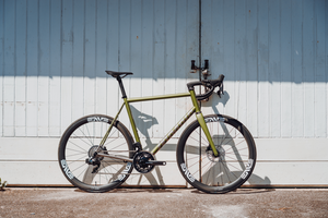 Mosiac RT1 RtT1 2024