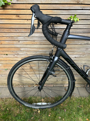 Giant Contend 2 2023