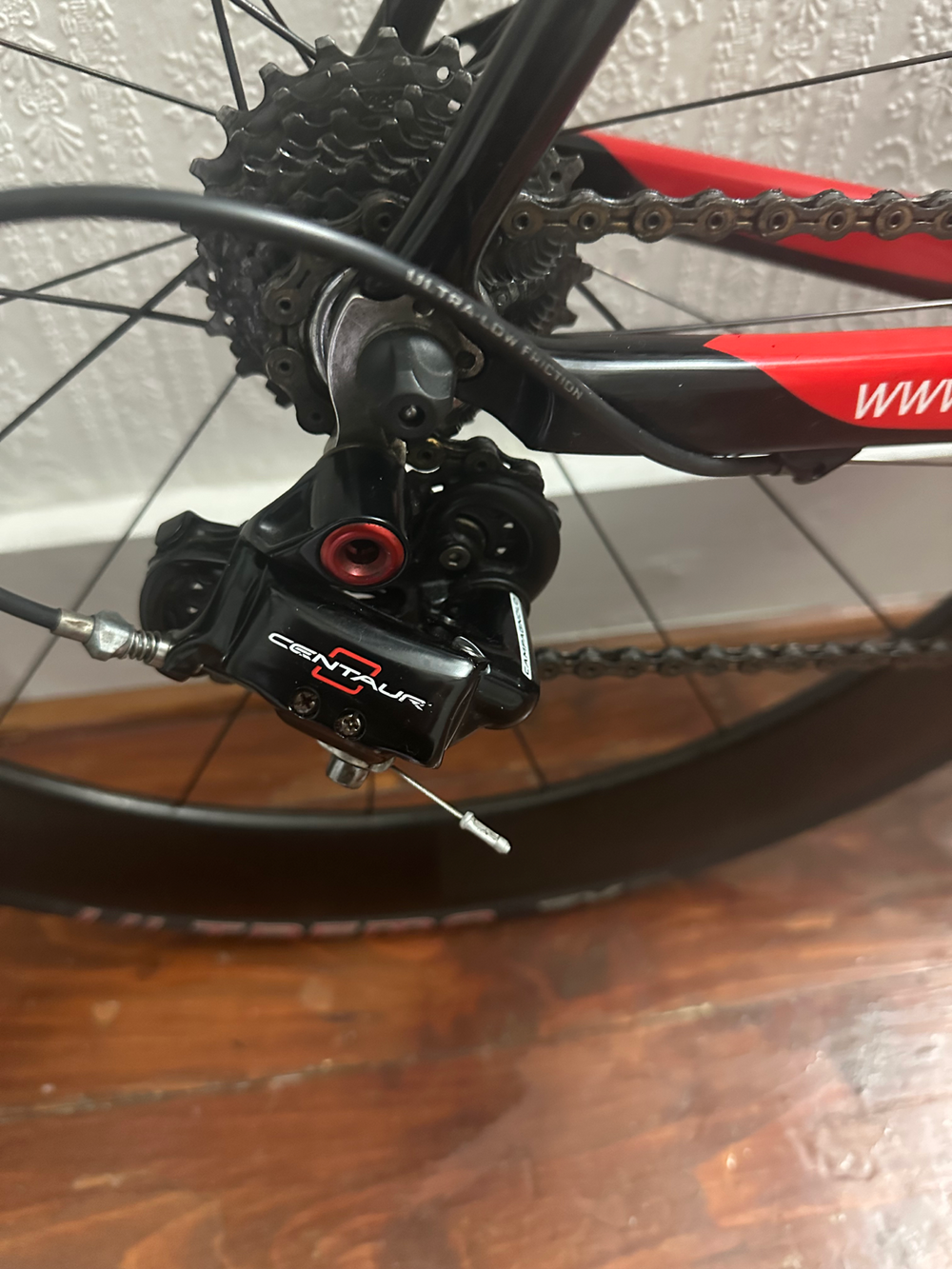 Quest Pulse 2010