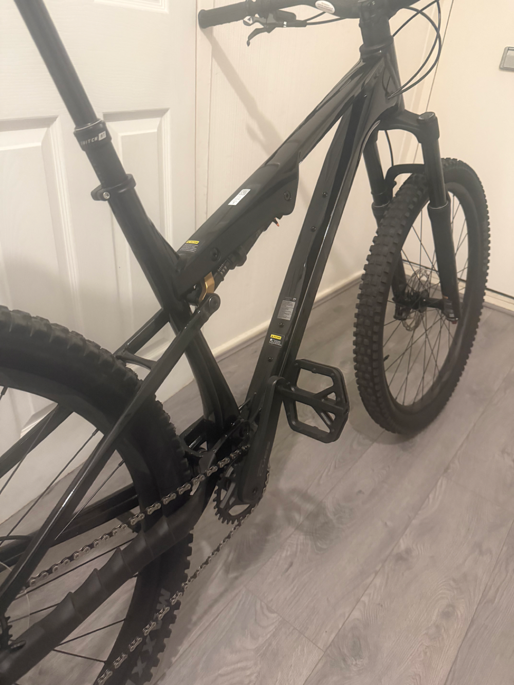 Giant Stance 2026