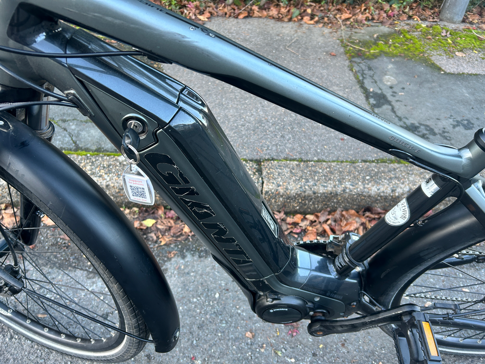 Giant Quick-e 2017