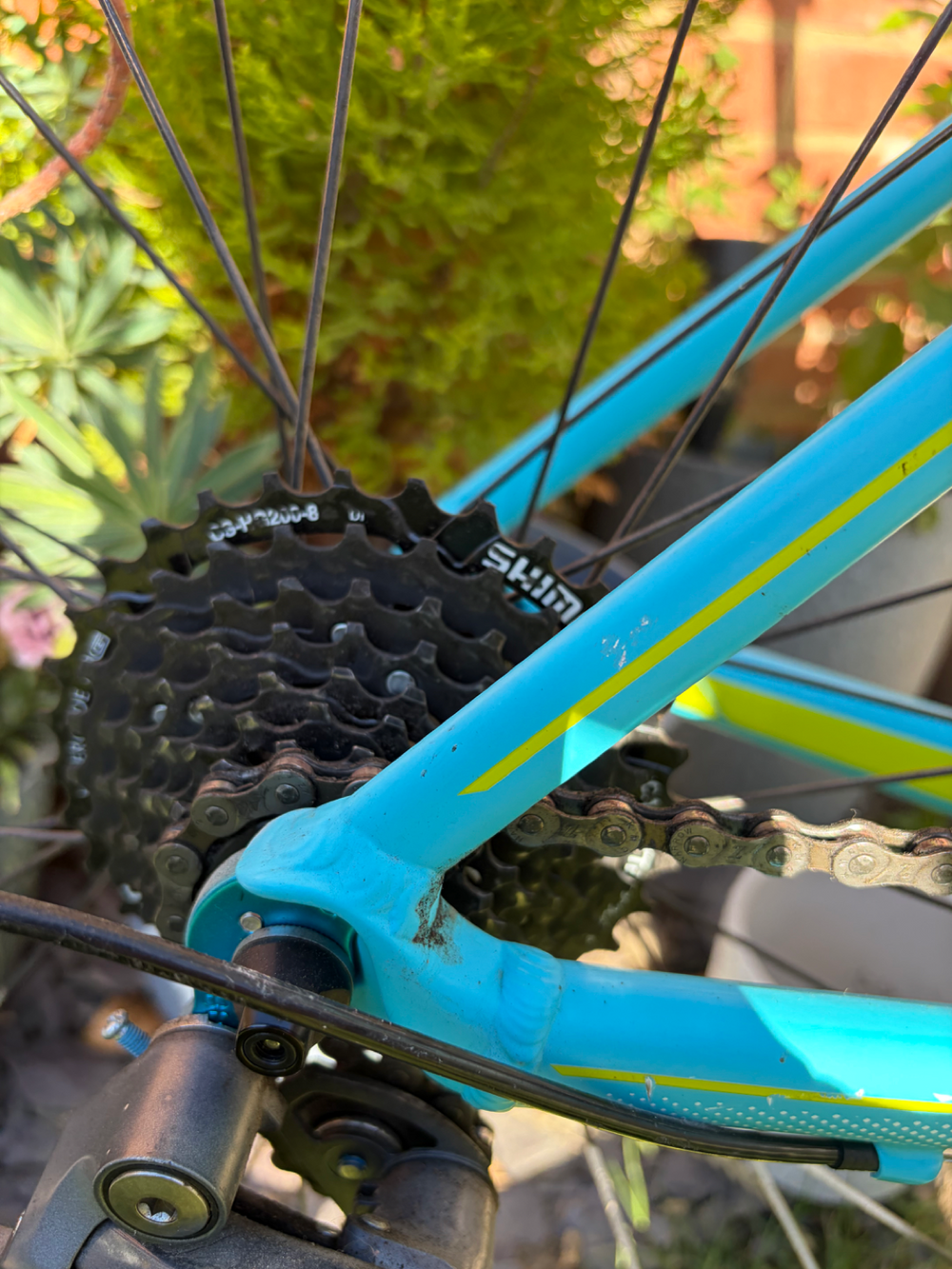 Cube Axial Wls 2015