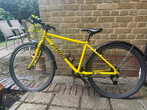 Frog Frog 73 Tour de France 2021