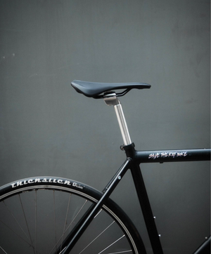 Dolan Single speed / fixie