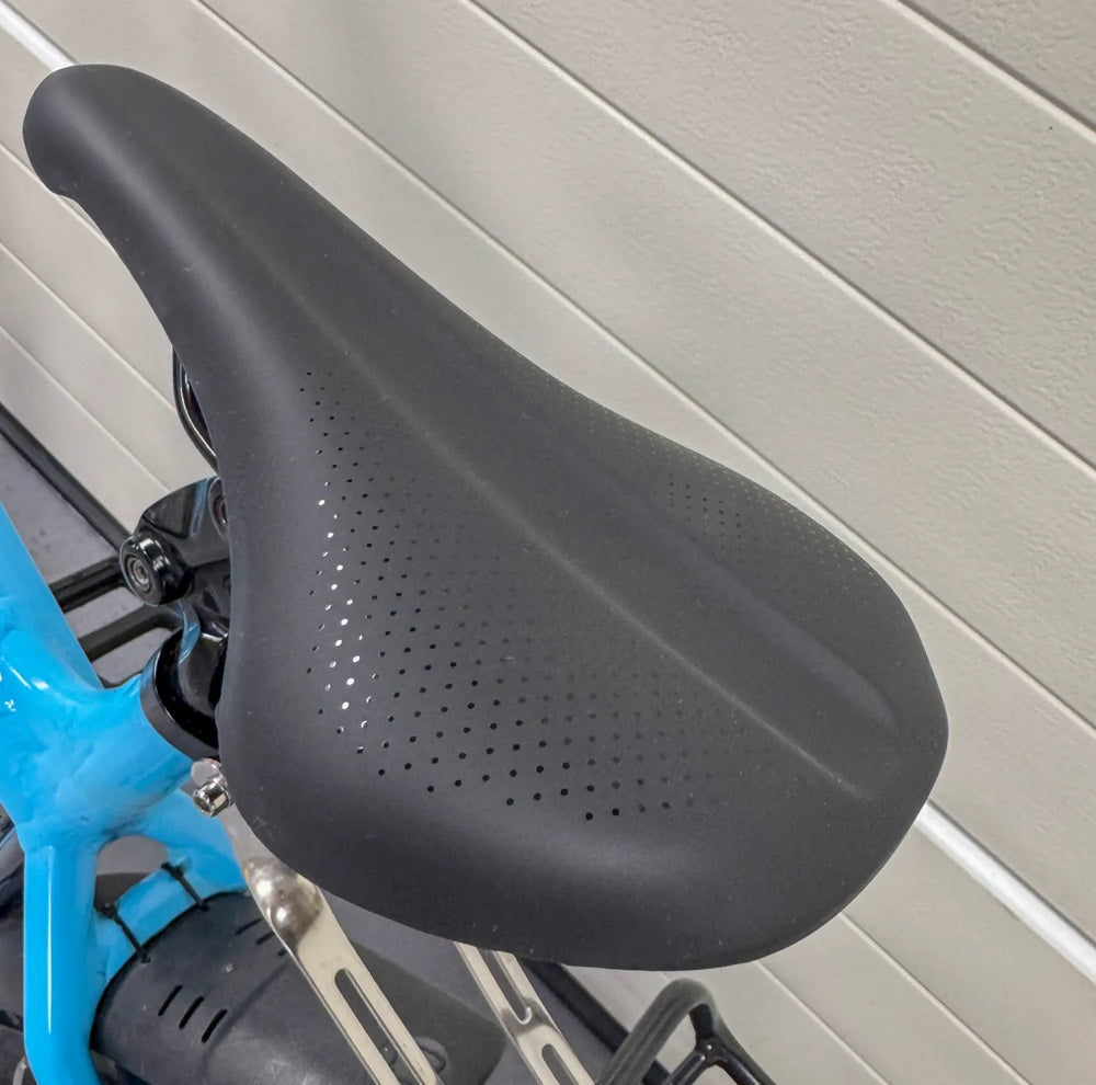 Trek Powerfly 4 625w 2022