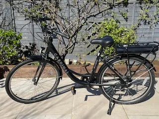 Basis Cardinal FS Step Through  Hybrid 2021