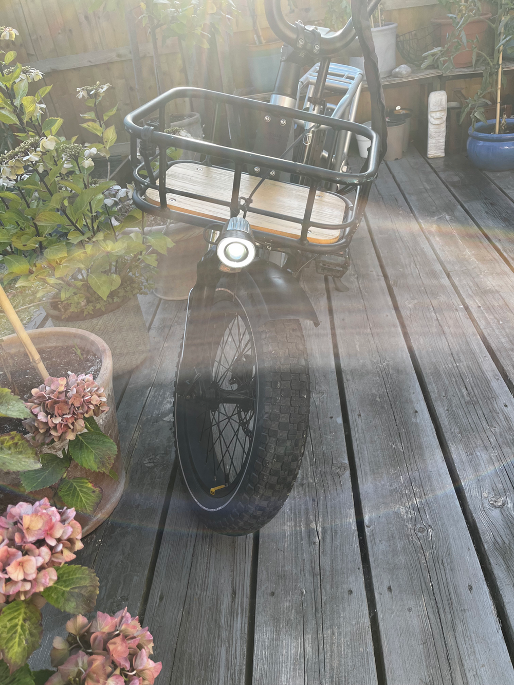 Rad Power RadRunner Plus 2021