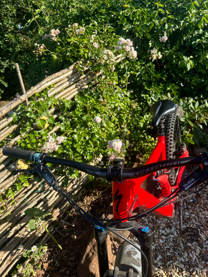 Specialized Turbo Levo SL Kids 2021