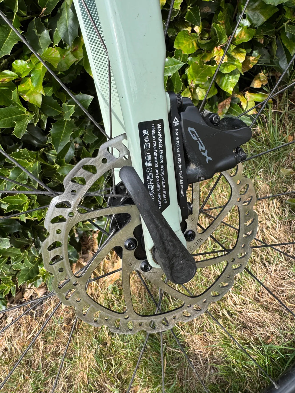 Giant Revolt Advanced 2 2021