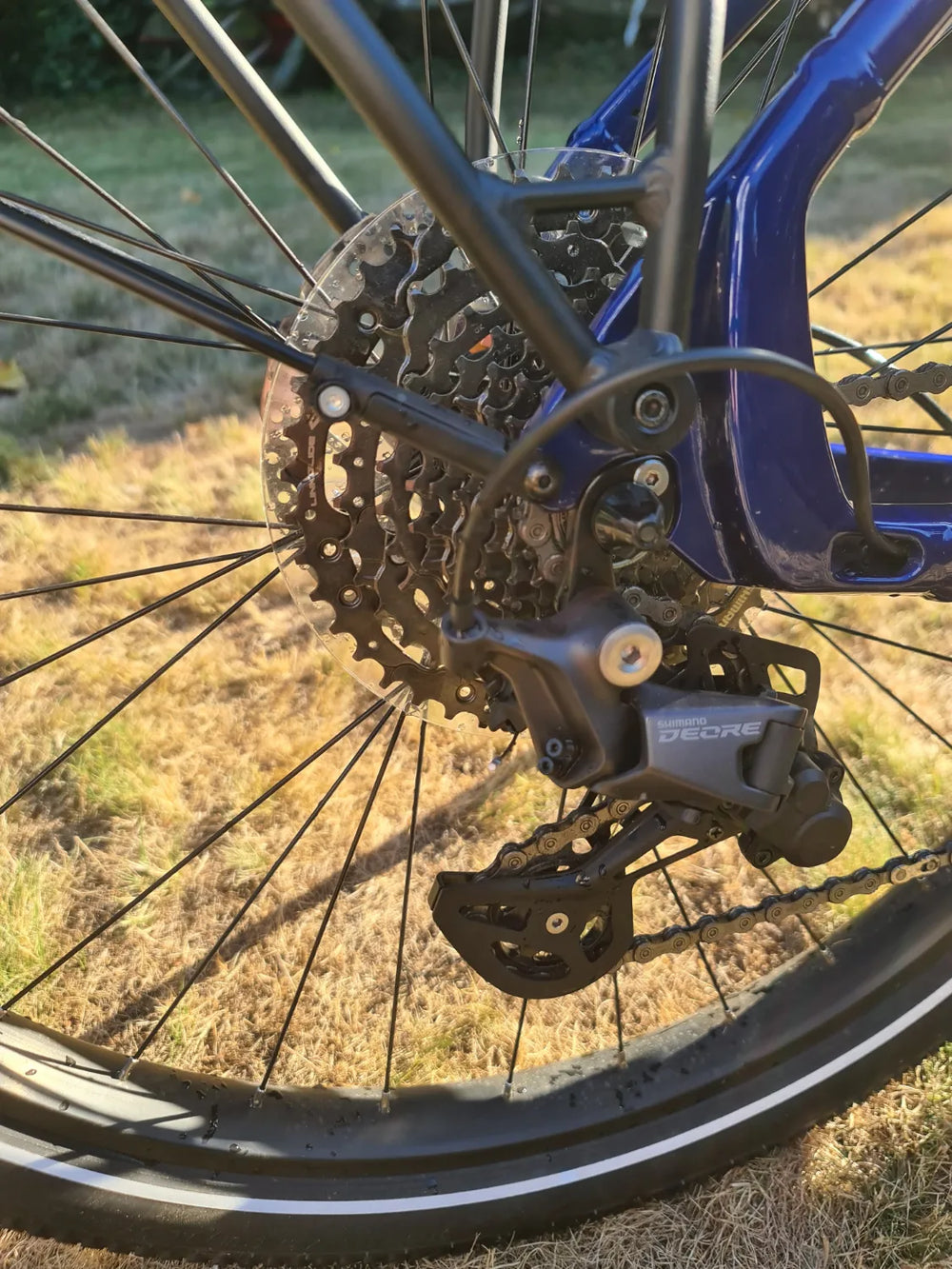 Trek Allant+ 7 2024