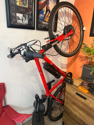 Apollo Phaze E 2019