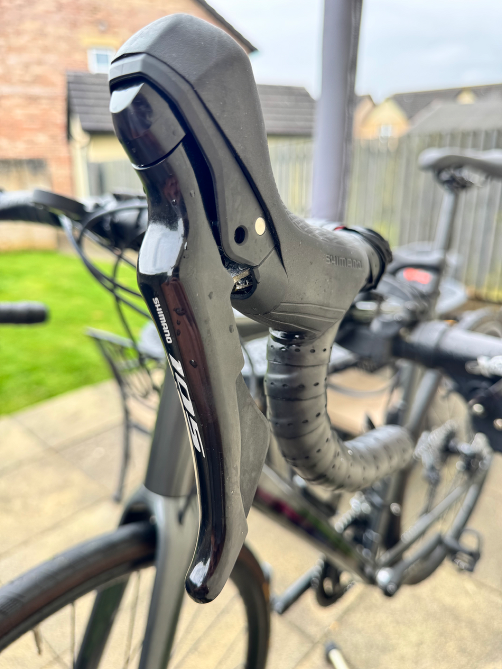 Trek Domane AL 5 Disc 2022