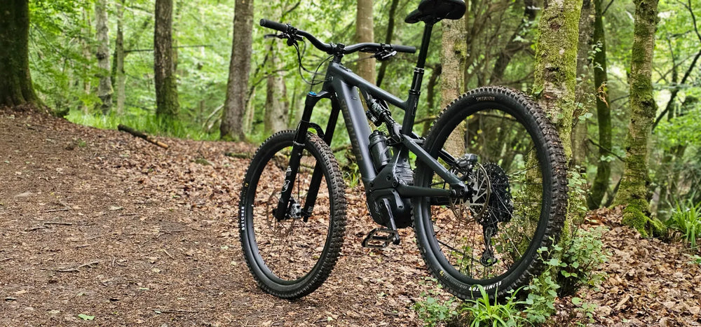 Specialized Levo Comp Alloy G3 2024