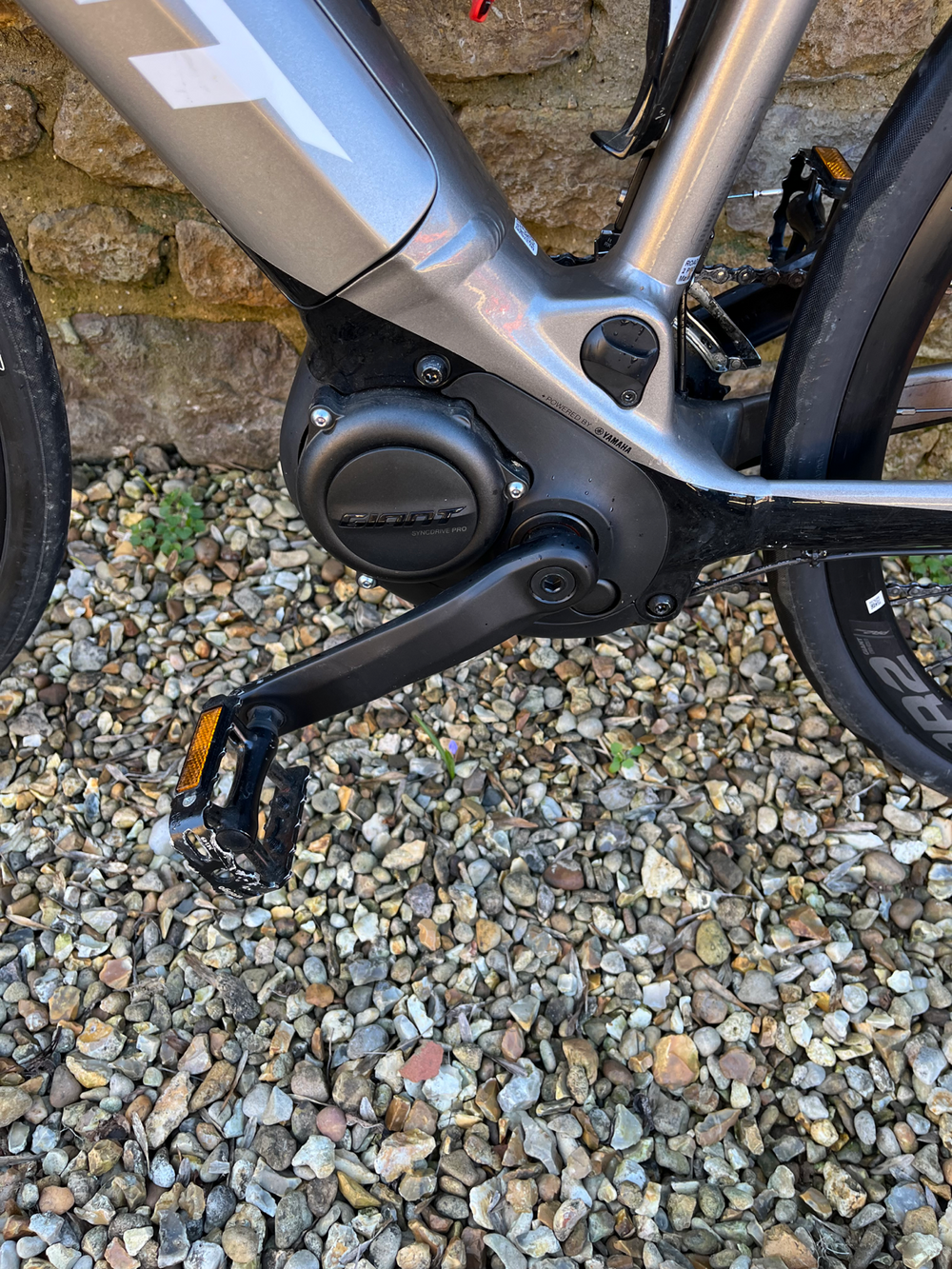 Giant E+2 Pro 2020