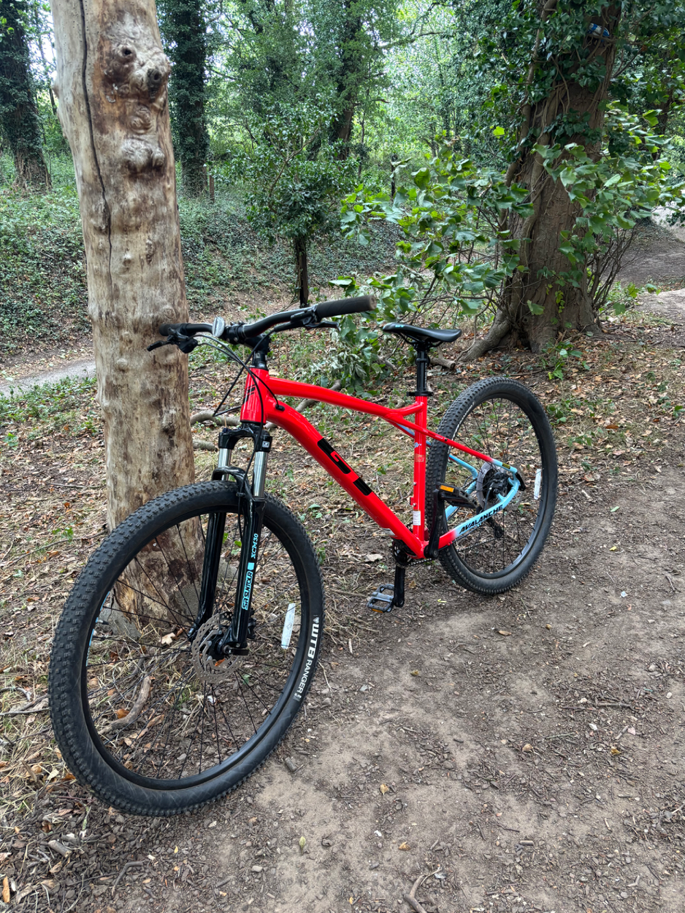 GT Avalanche 2 0 Hydraulic Disc 2010