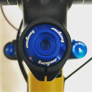 Liv Pique SX 2 2018