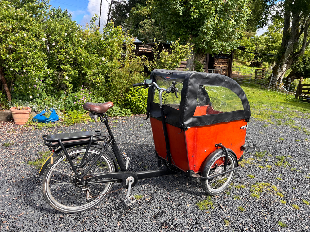 Babboe Dog E Electric Cargo Trike 2020