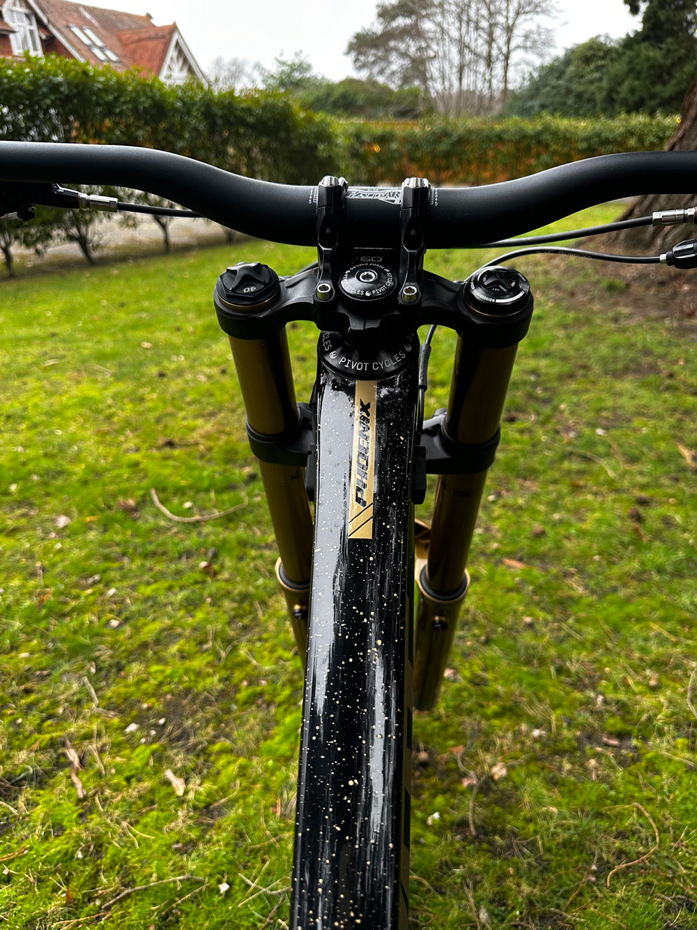 Pivot Phoenix 2025 DH carbon