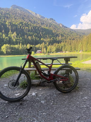 Nukeproof Giga Carbon Pro 290/297 2026
