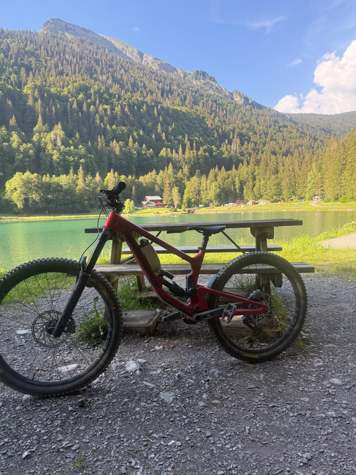 Nukeproof Giga Carbon Pro 290/297 2026