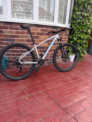 Specialized Rockhopper 27.5 2020