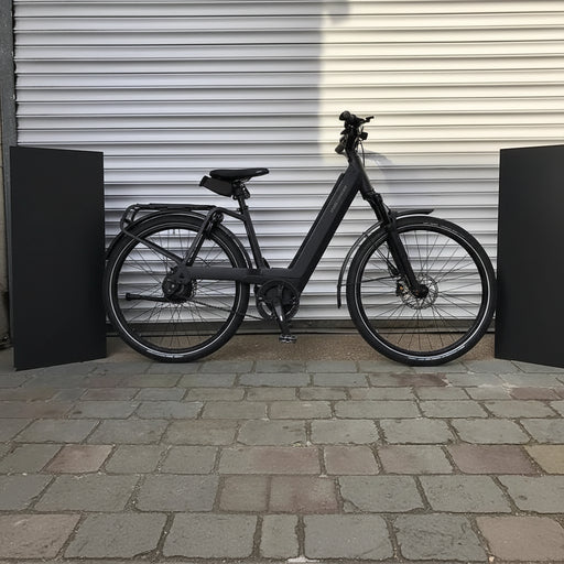 Riese & Muller Nevo4 GT Vario