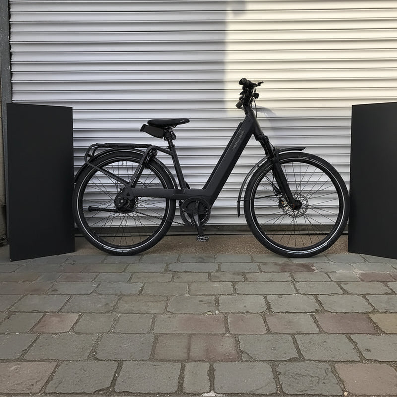Riese & Muller Nevo4 GT Vario