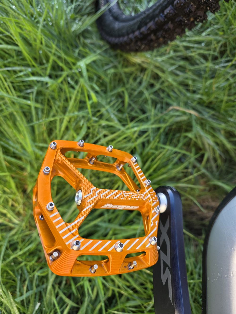 Specialized Stumpjumper 15 Fox Coil Alloy 2025