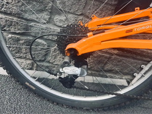 Marin Rift Zone 1 1998