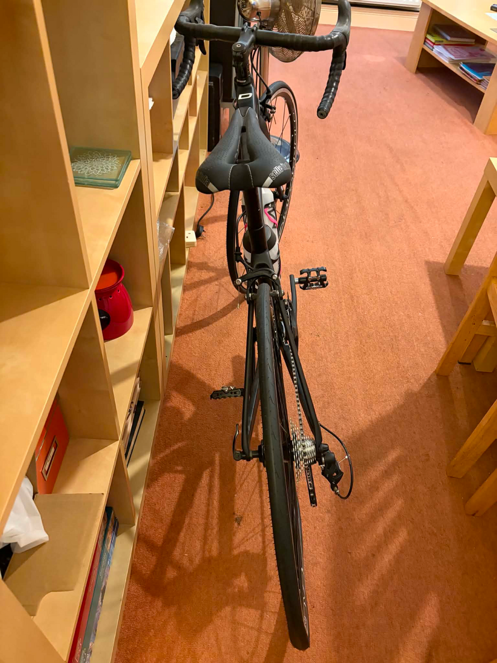 Dolan L'etape SL Carbon - Campag Centaur 2022