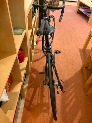 Dolan L'etape SL Carbon - Campag Centaur 2022