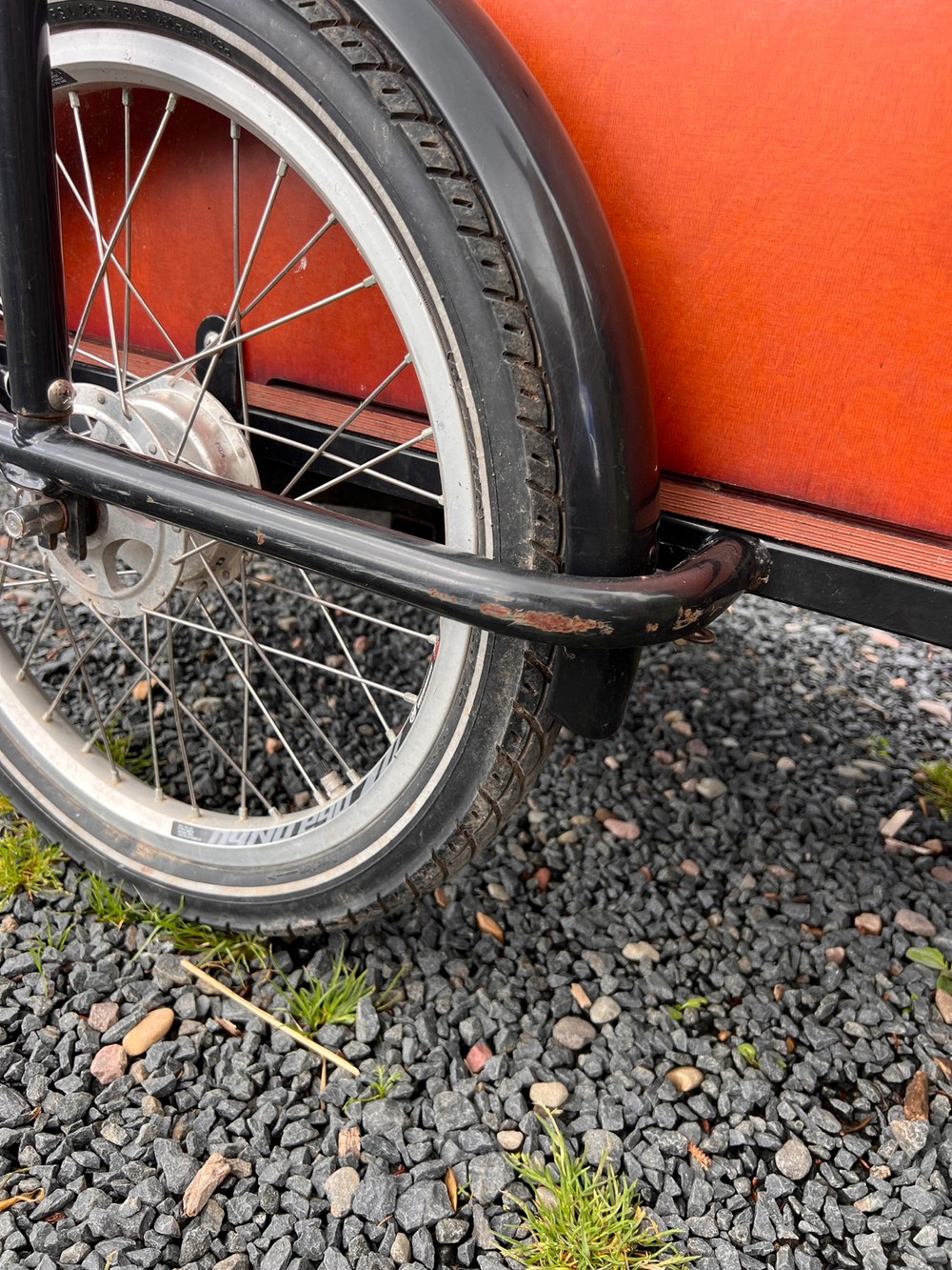 Babboe Dog E Electric Cargo Trike 2020