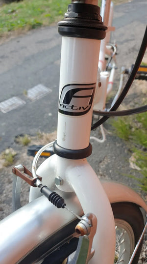 Raleigh Active Fold-s 2017
