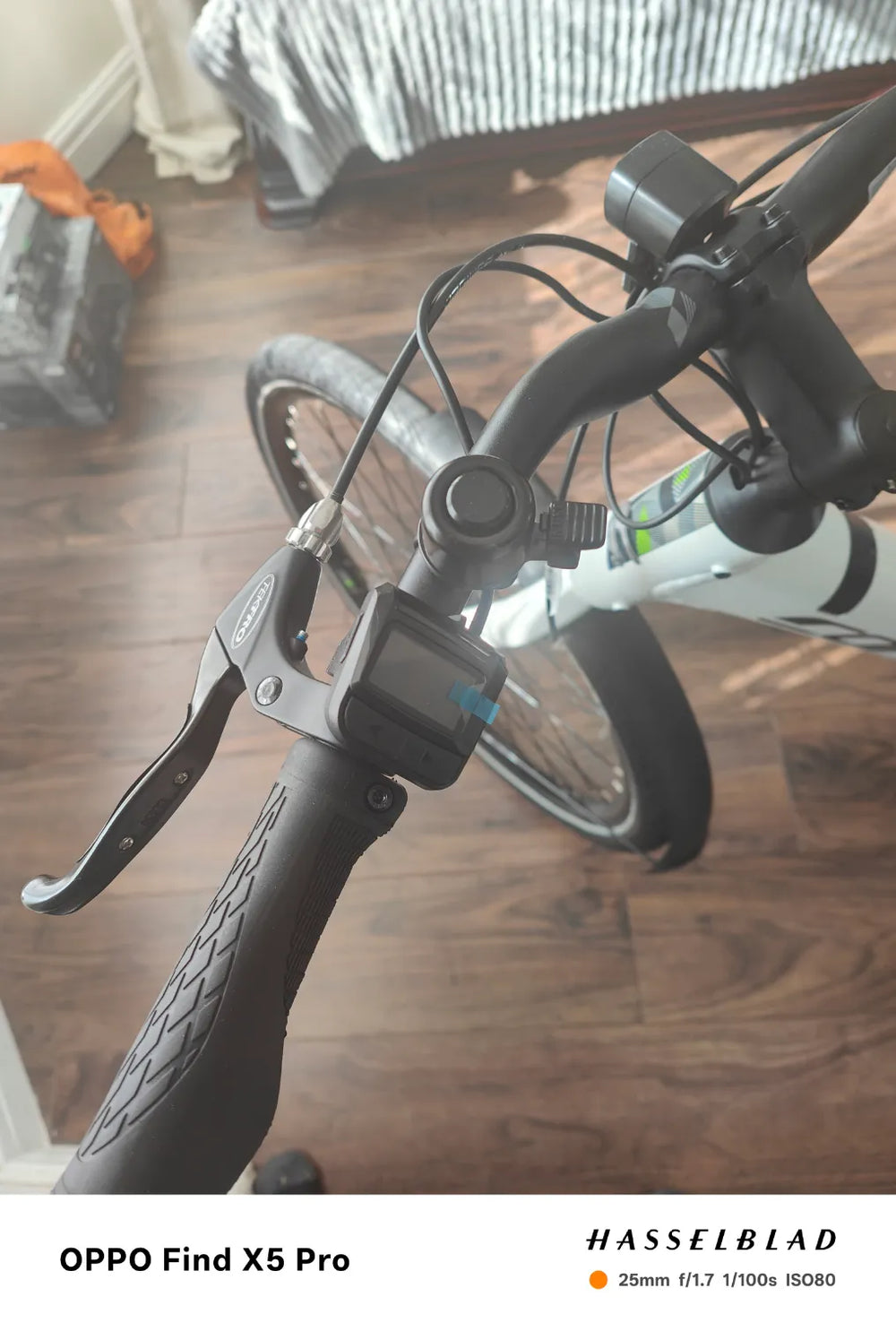 Carrera Actuate 2 Lowstep 2024