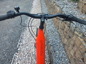 Momentum Vida E+ Low-Step 500Wh 2022
