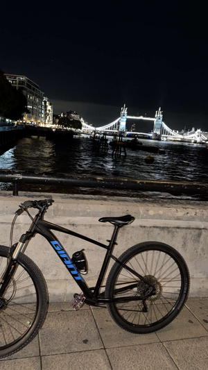 Giant Talon 1 29er 2020