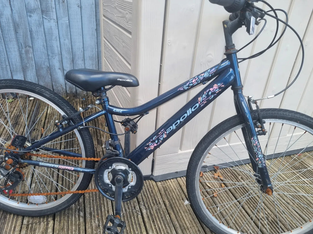 Apollo kinx 2024