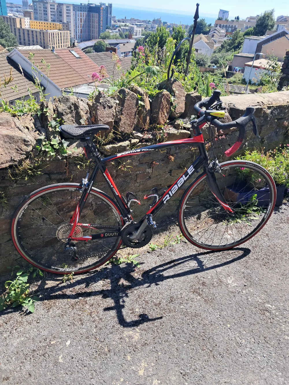 Ribble Sportive 7046 2017