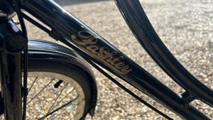 Pashley Princess Sovereign 5 Speed 2019