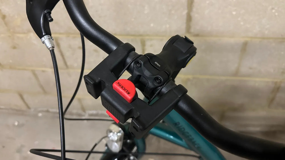 Ridgeback Avenida 7 2024