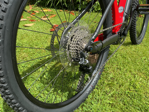 Trek Powerfly 4 625w Gen 4 2024