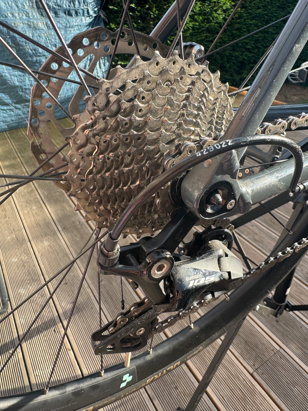 Cube Axial Wls Race 2020